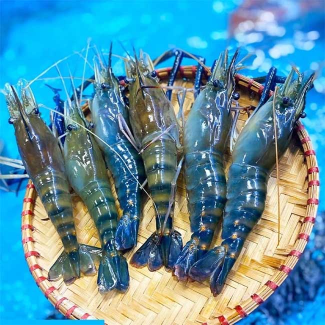 Picture 4 of How to distinguish shrimp and prawn