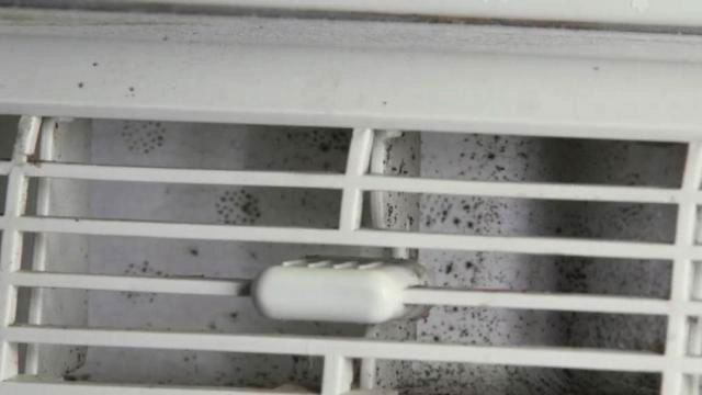 how-to-effectively-detect-and-treat-mold-in-air-conditioners