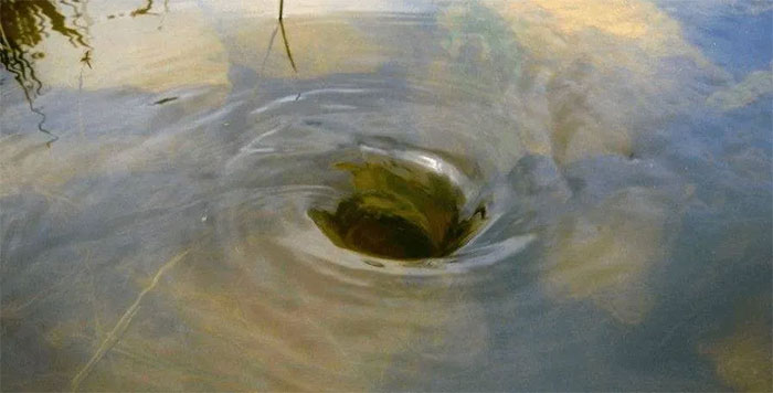 Picture 3 of How to feel the Earth rotating every day? Observe these 4 phenomena!