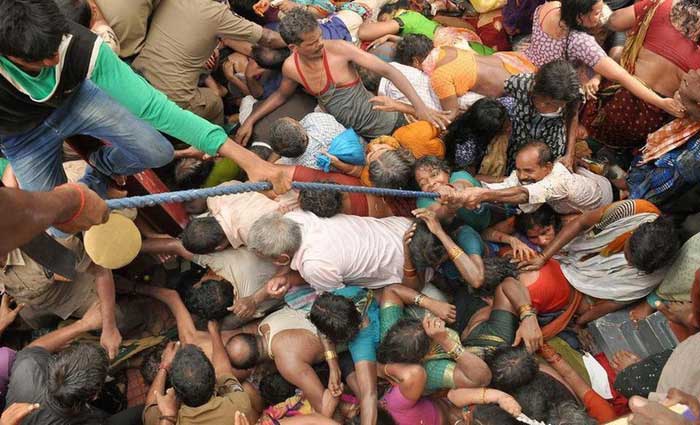 Picture 2 of How to survive in a mob?
