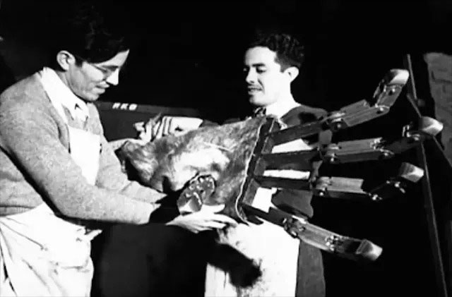 Picture 7 of How was the 1933 movie King Kong created without digital technology?