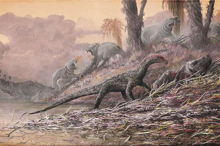 How was the environment and climate of Earth during the dinosaur era different from today? Picture 3