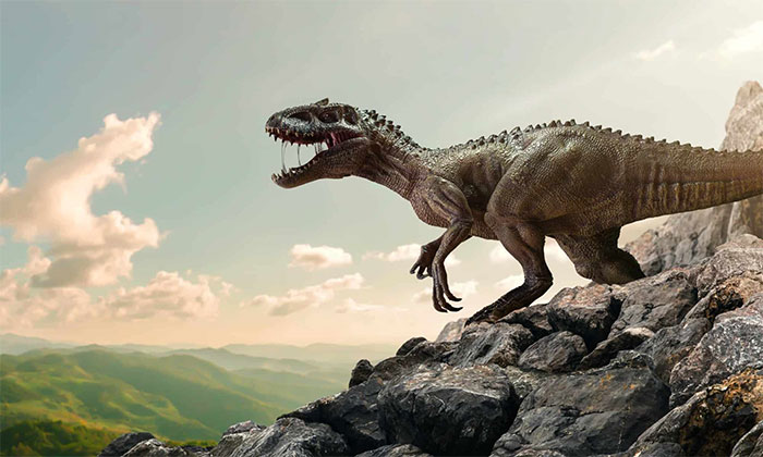 How was the environment and climate of Earth during the dinosaur era different from today? Picture 4