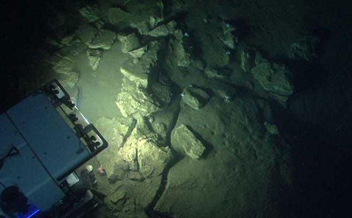 Picture 1 of Huge 'treasure' in the ocean: It took more than 60 years that humans still have not recovered!