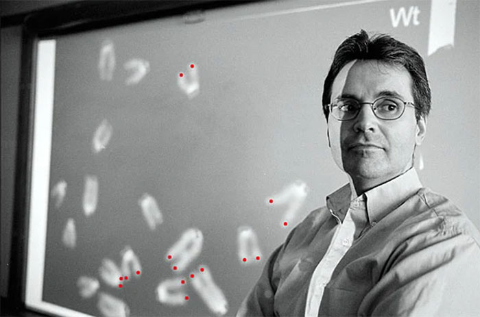 Human lifespan can reach 1,000, expert: The key in this immortal cell! Picture 2