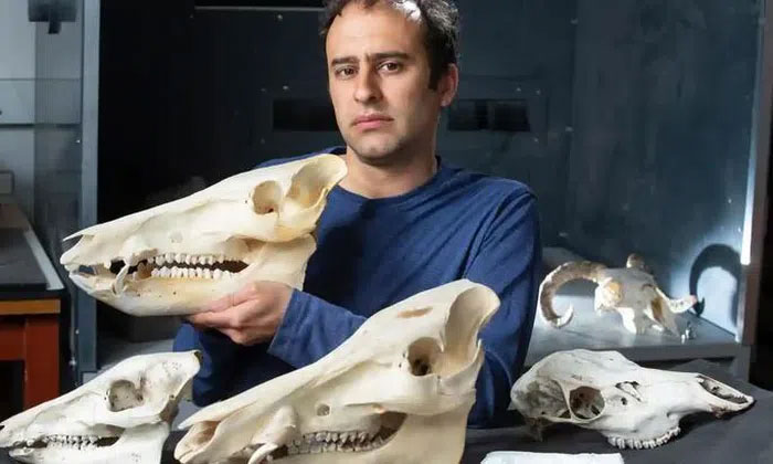 Picture 1 of Humans are shrinking for a scary cause?