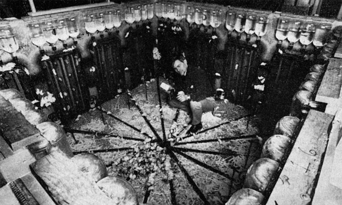 'Ideal city' of 2,200 rats with tragic ending Picture 1