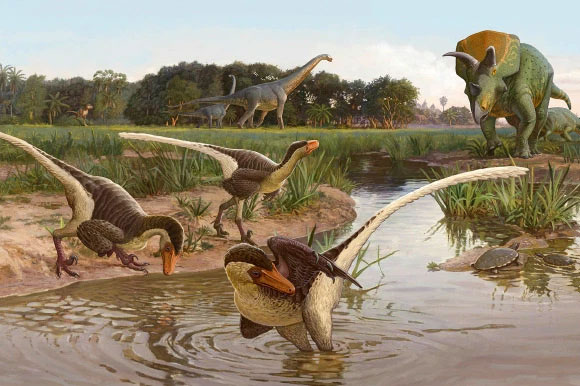 Picture 10 of If suddenly extinct, what traces of humans will be left on Earth after billions of years?