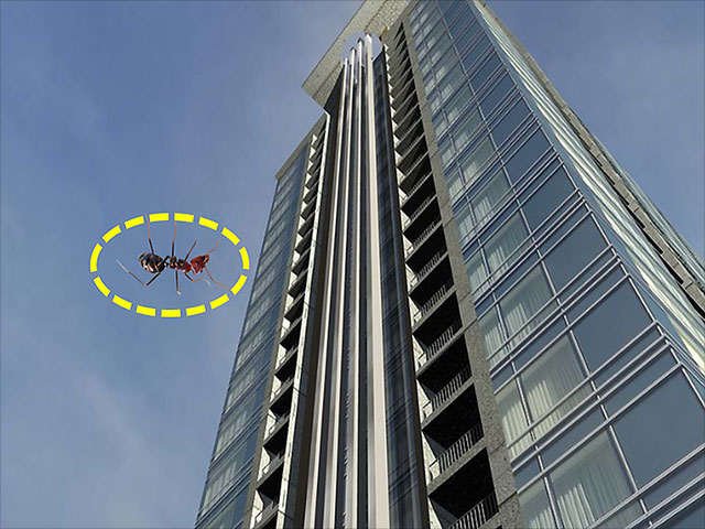 If you drop an ant from the 63rd floor, will it die? Picture 1