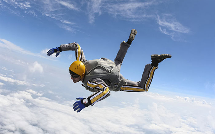 If you drop an ant from the 63rd floor, will it die? Picture 3