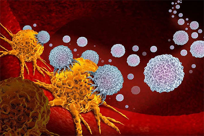 Picture 1 of Important discovery opens up hope for curing pancreatic cancer