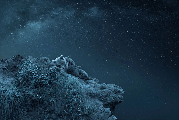 Picture 2 of Incredible and surreal scenes of animals around the world.
