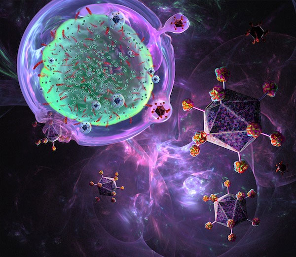 Picture 1 of India launches first indigenous CAR-T cell therapy to treat cancer