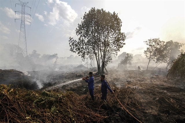 Picture 1 of Indonesia forest fires remain high despite heavy rains