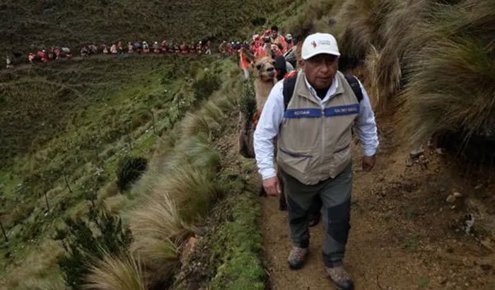 Initiative to plant millions of 'rattan trees' in the Andes Picture 2