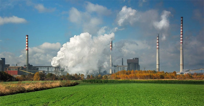 Insects lose their sense of smell because of air pollution, humans go to pollinate plants themselves Picture 4