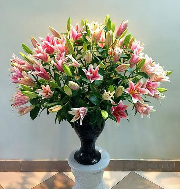 Picture 3 of Instructions on how to choose lilies to play Tet with lots of leaves at the beginning of the year