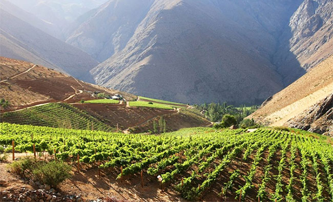 Picture 1 of Interesting information about Chile that will surprise you