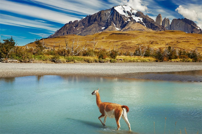 Picture 13 of Interesting information about Chile that will surprise you