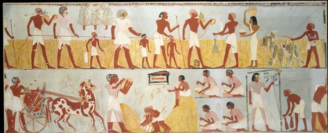 Picture 5 of Interesting things about taxes in ancient Egypt