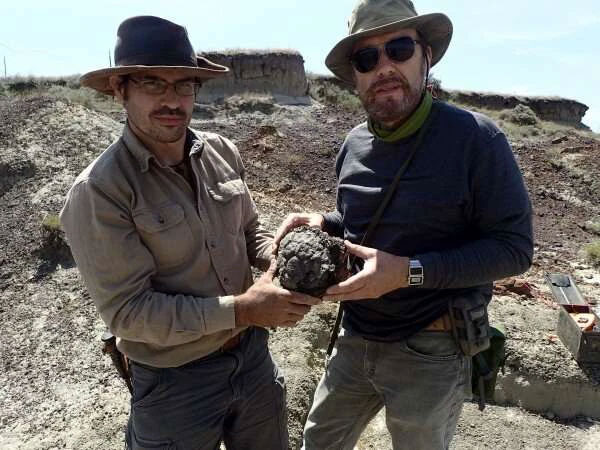 Picture 3 of Ironically, the Chicxulub meteorite that destroyed the dinosaurs fell to Earth in the spring
