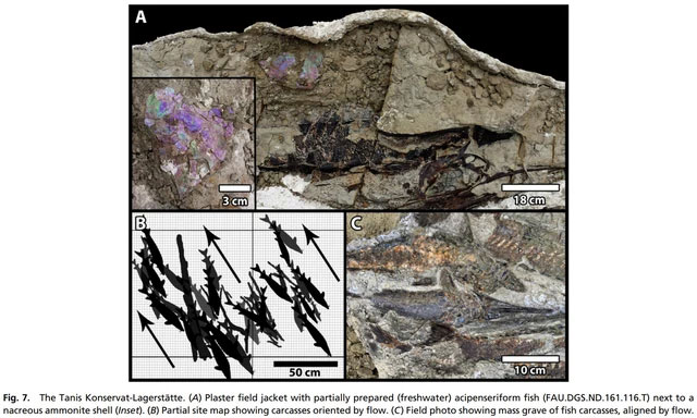 Picture 4 of Ironically, the Chicxulub meteorite that destroyed the dinosaurs fell to Earth in the spring