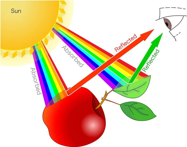 Picture 2 of Is color a property of matter or is it created in the brain?