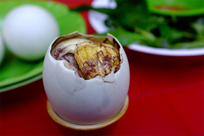 Picture 2 of Is the water in a balut egg as nutritious as ginseng? Expert's explanation makes many people 'startled'
