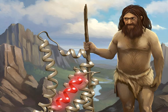 Picture 1 of Is there going to be a breakthrough drug from the bodies of two extinct human species?
