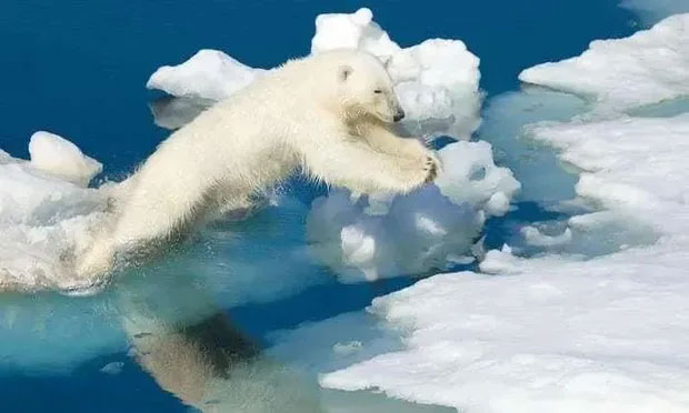 It's so hot, why don't Europeans install air conditioners? Picture 14