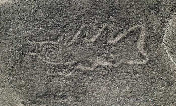 Picture 1 of Japanese research team finds archaeological site in Peru using AI