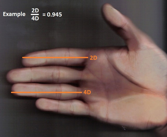 Picture 4 of Just by looking at this feature on the hand, you will know if someone can drink alcohol or not.