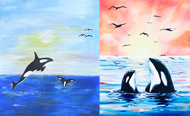 Picture 3 of Killer whales: Revealing the close swarm relationship, the unexpected role of the female with the young