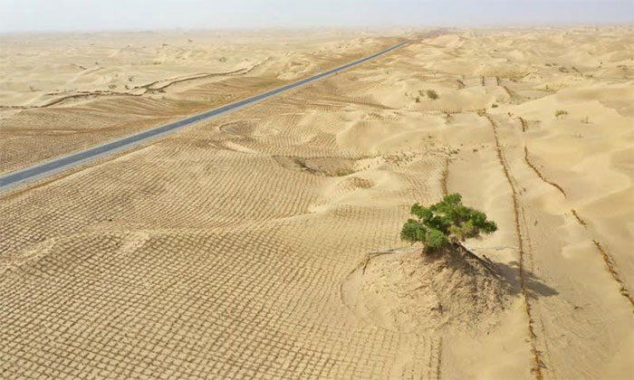 Picture 8 of Lacking electricity and water, how did China build thousands of kilometers of highway across the Taklimakan desert?