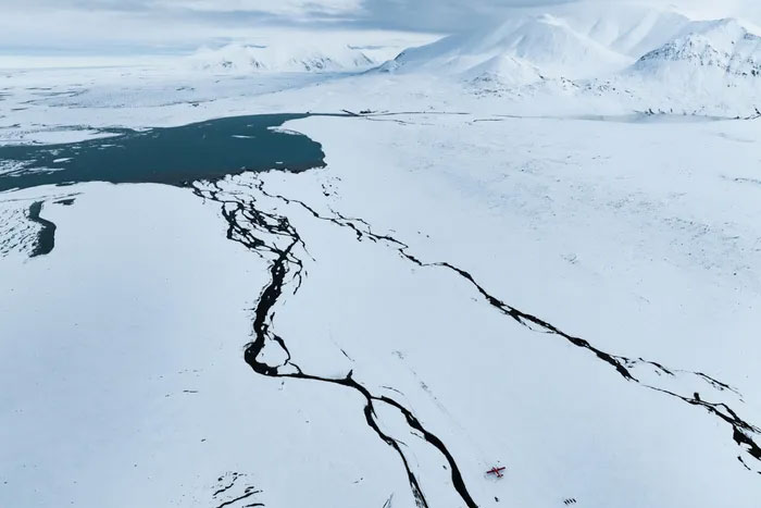 Let's look at the last flower clusters in the world's polar regions Picture 10