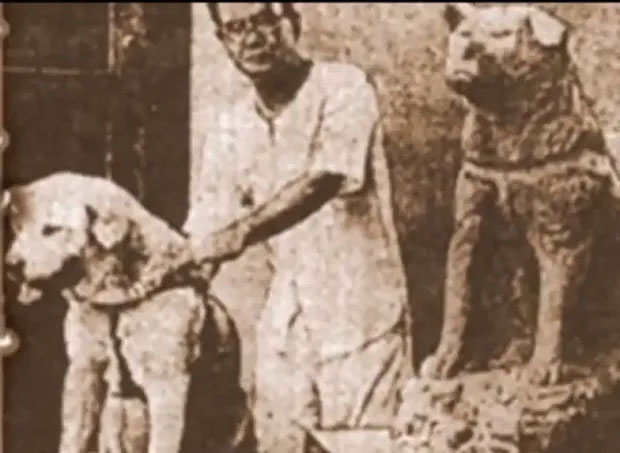 Little known facts about Hachiko - a dog that has been waiting for its owner for 10 years at the station platform Picture 7
