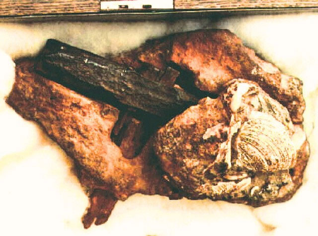Picture 1 of London Hammer: The mystery of the ancient hammer or an elaborate hoax?