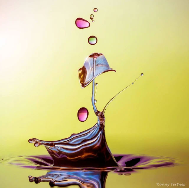 Picture 11 of Looking at these stunning photos of water droplets, it's like viewing sculptures.