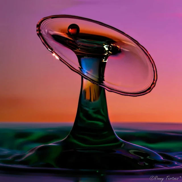 Picture 12 of Looking at these stunning photos of water droplets, it's like viewing sculptures.