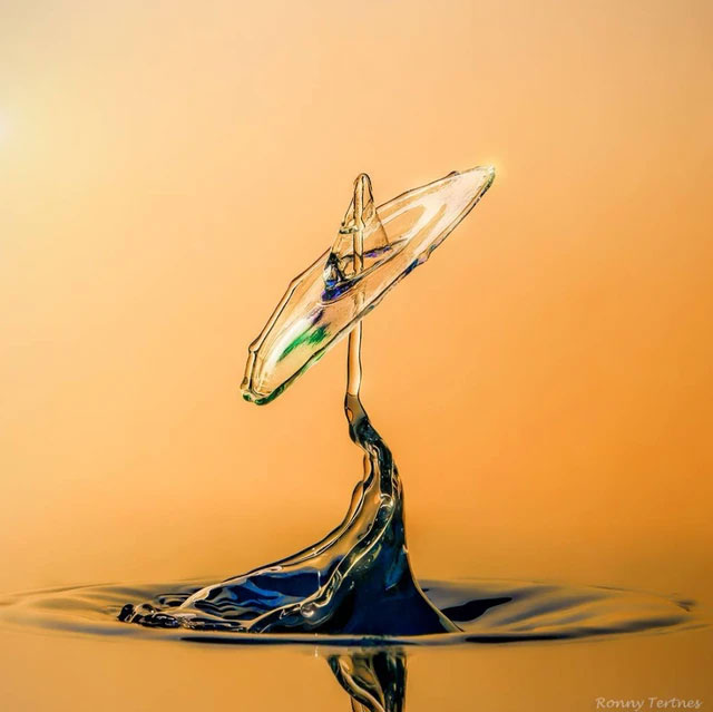 Picture 14 of Looking at these stunning photos of water droplets, it's like viewing sculptures.