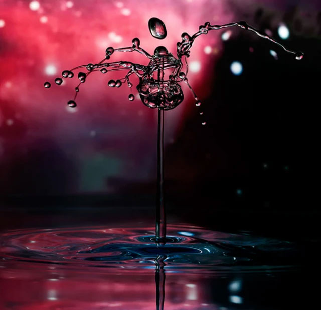 Picture 15 of Looking at these stunning photos of water droplets, it's like viewing sculptures.