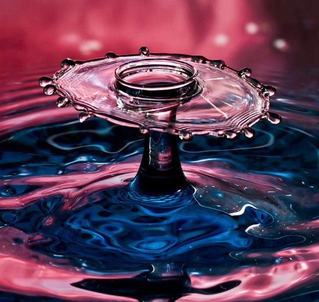 Picture 2 of Looking at these stunning photos of water droplets, it's like viewing sculptures.