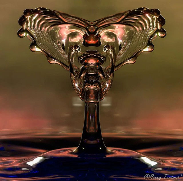 Picture 5 of Looking at these stunning photos of water droplets, it's like viewing sculptures.