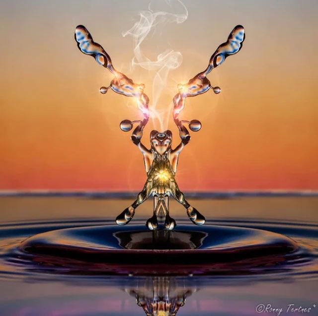 Picture 7 of Looking at these stunning photos of water droplets, it's like viewing sculptures.