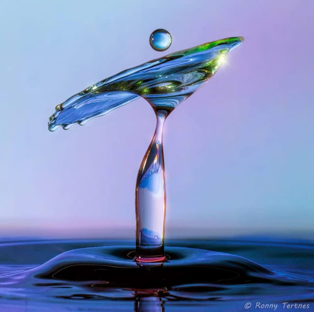Picture 8 of Looking at these stunning photos of water droplets, it's like viewing sculptures.
