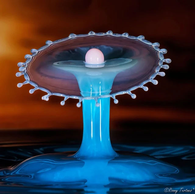 Picture 9 of Looking at these stunning photos of water droplets, it's like viewing sculptures.