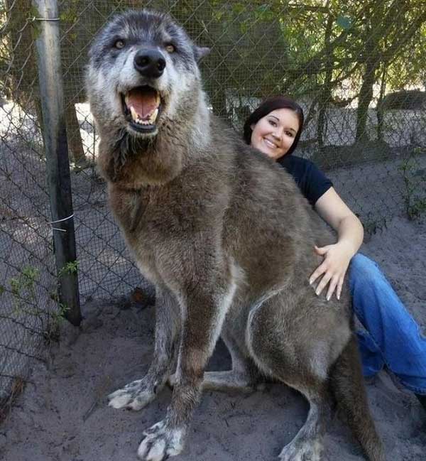 Magical things on Earth are lucky to see in life Picture 10