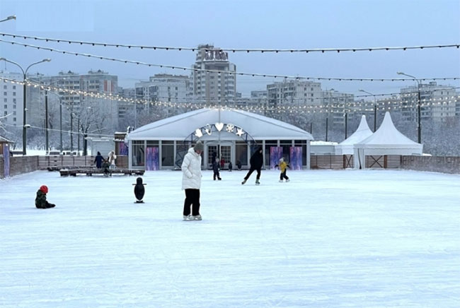 Picture 10 of Magnificent view of Russian winter: Moscow in a snow cloak