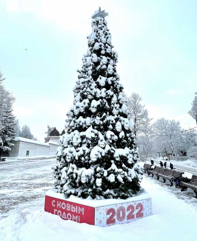 Picture 11 of Magnificent view of Russian winter: Moscow in a snow cloak