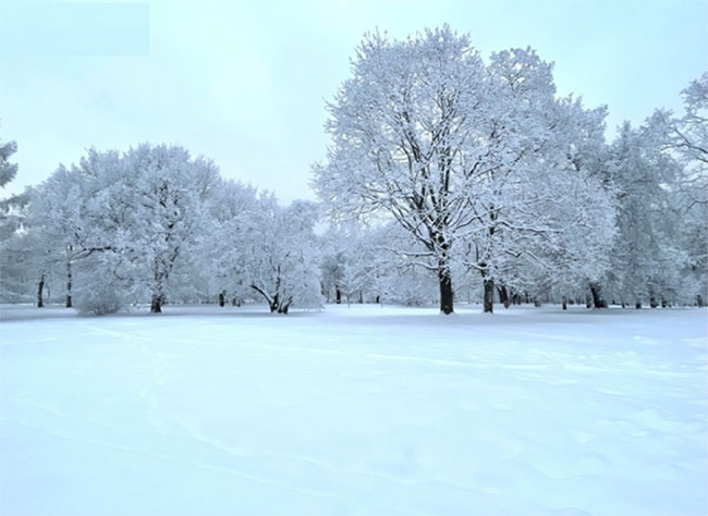 Picture 2 of Magnificent view of Russian winter: Moscow in a snow cloak